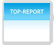 TOP-REPORT